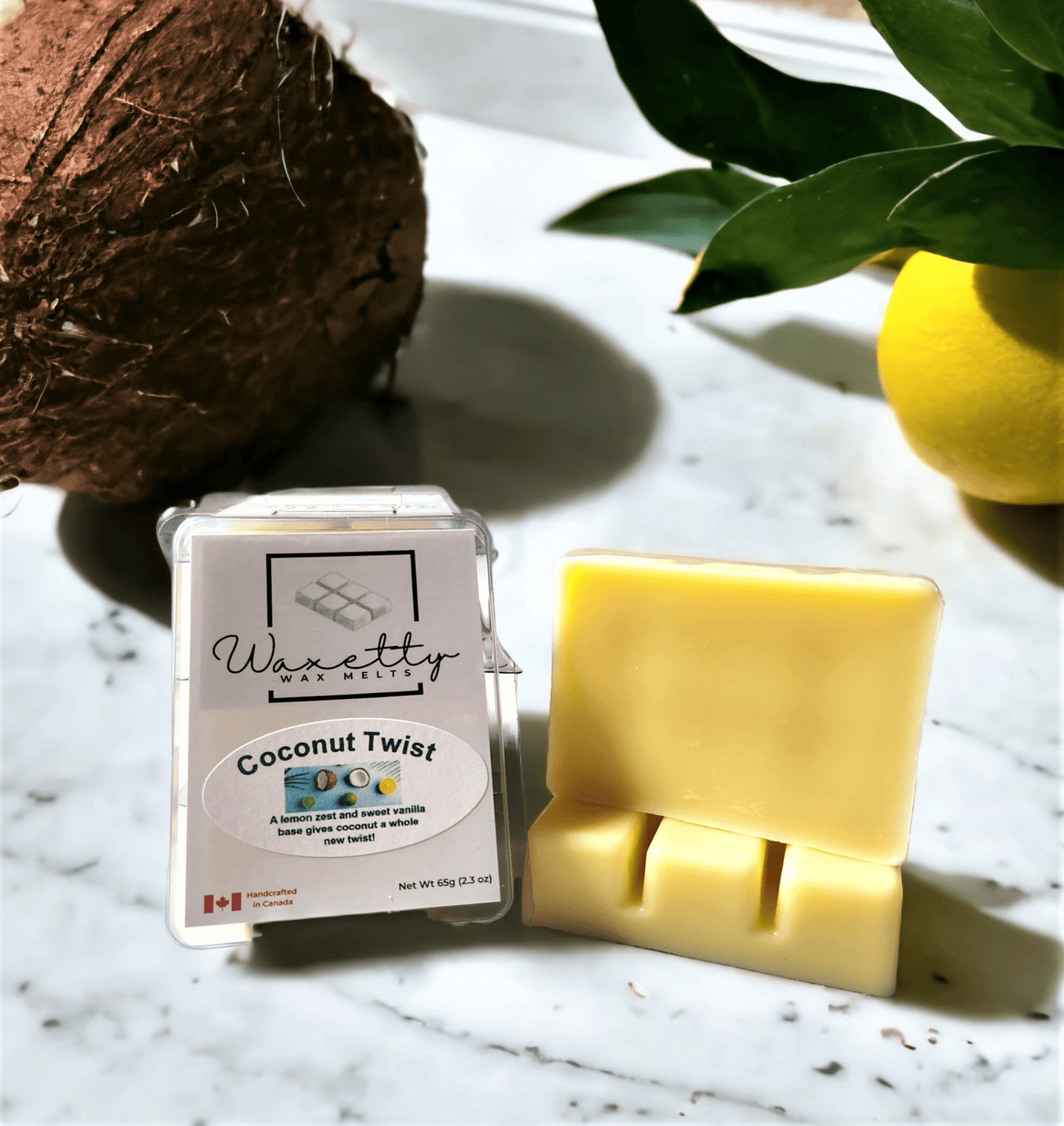 Coconut Twist - WaxettyCoconut TwistWax Melt