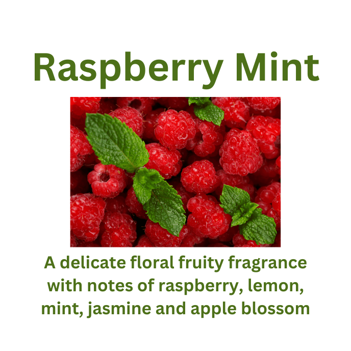 Raspberry Mint - WaxettyRaspberry MintWax Melt